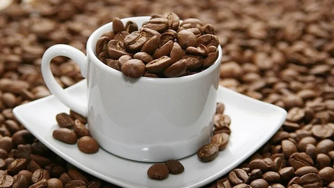 The latest global and domestic coffee prices update on 06/24/2024