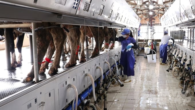 Quality management of milk is achieved through automatic temperature adjustment, ensuring milk is kept fresh for several days. Photo: Tran Trung.