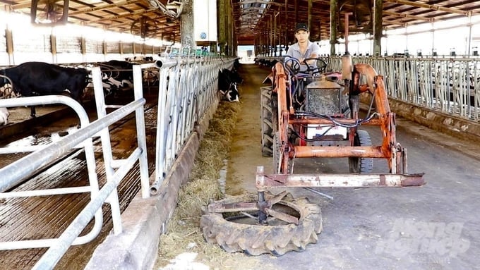 Mechanization enables Anova Agri Binh Duong to proactively manage the milk extraction process, thereby maintaining food safety standards and reducing the risk of mastitis in cattle. Photo: Tran Phi.