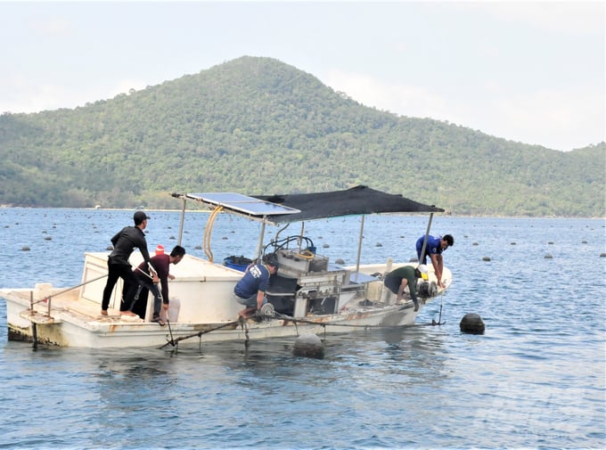 Kien Giang is actively allocating marine areas to fishermen, with the aim of developing mariculture into an efficient, sustainable, and environmentally friendly sector. Photo: Trung Chanh.