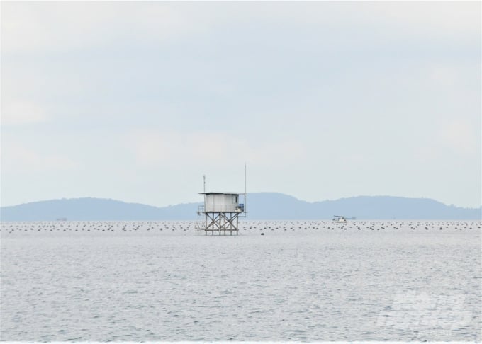 Vùng biển Phú Quốc có chất lượng nước tốt, thời tiết ôn hòa, rất thuận lợi để phát triển nuôi trồng thủy sản. Ảnh: Trung Chánh.