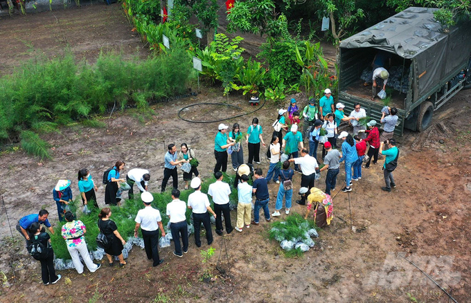 Đoàn đại biểu cùng các chiến sĩ Hải quân chuyển những cây phi lao lên xe của các đơn vị thuộc Vùng 2 và Vùng 4 Hải quân để đem ra trồng tại quần đảo Trường Sa. Ảnh: Minh Sáng.