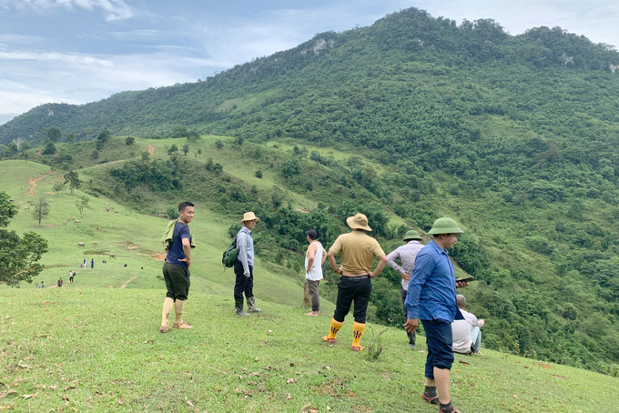 Toàn tỉnh Nghệ An có hàng chục ngàn ha đất rừng thuộc diện tranh chấp. Ảnh: Khôi An.