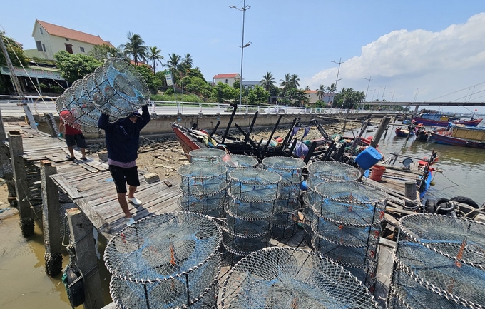 Việc cấp phép cho gần 800 'tàu 3 không' là rất cấp thiết để ngư dân an tâm bám biển khai thác thủy sản hợp pháp. Ảnh: Tâm Phùng.