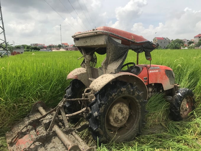 Máy lồng bừa vùi ruộng lúa 'trẻ mãi không già'. Ảnh: Nguyễn Hữu Vân.