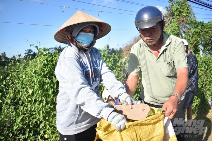 Mọi người đồng lòng ra quân Ngày Chủ nhật nông thôn mới, làm sạch môi trường sống. Ảnh: Minh Đãm.