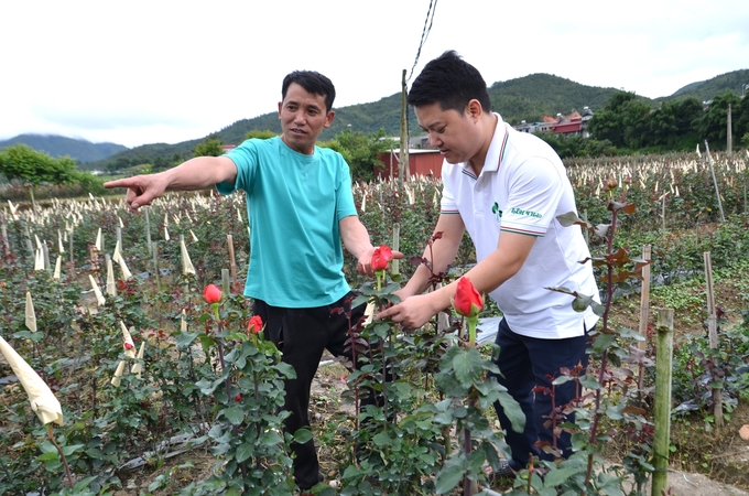 Anh Trần Văn Vĩ giới thiệu về cách trồng hoa hồng cho cán bộ công ty Lâm Thao. Ảnh: Dương Đình Tường.