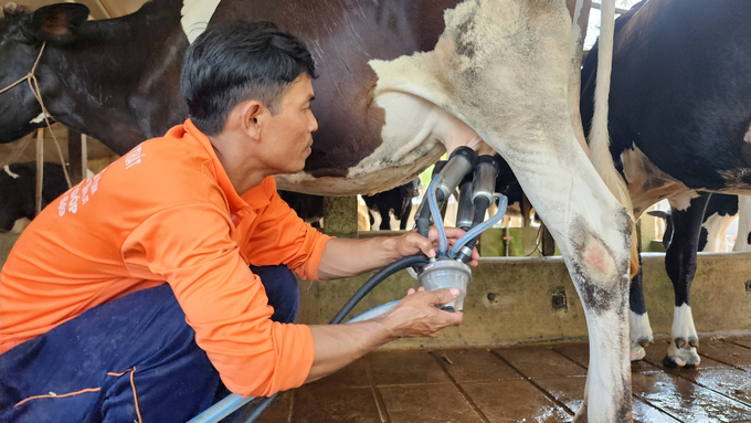 Chi cục Chăn nuôi và Thú y tỉnh Sóc Trăng chú trọng công tác tuyên truyền, hướng dẫn hộ nuôi thực hiện '5 không' trong phòng chống dịch bệnh cho vật nuôi. Ảnh: Kim Anh.