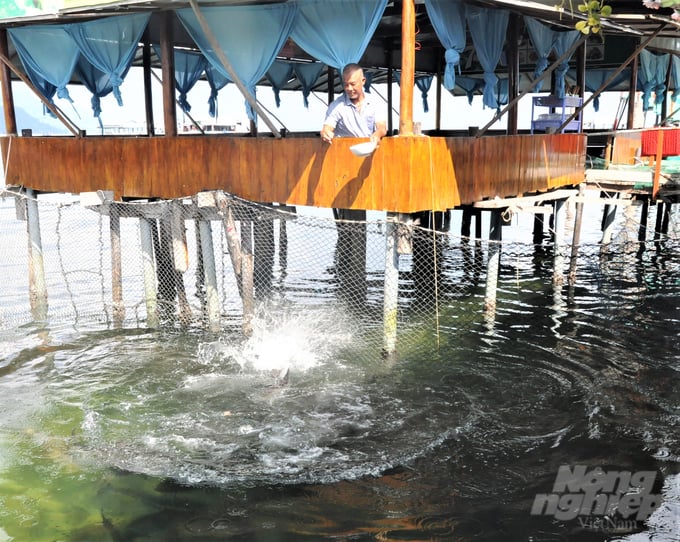 The majority of communes and wards in Phu Quoc city engage in coastal aquaculture activities, which provide a livelihood for the local fishermen. Photo: Trung Chanh.