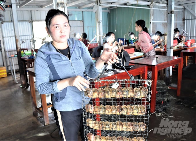 Khu nông trại nuôi trai lấy ngọc của Công ty Ngọc Hiền Phú Quốc đang tạo việc làm cho hàng chục lao động địa phương, với thu nhập ổn định. Ảnh: Trung Chánh.