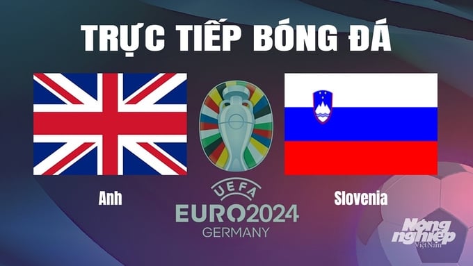 Trực tiếp bóng đá vòng bảng Euro 2024 giữa ĐT Anh vs ĐT Slovenia ngày 26/6/2024