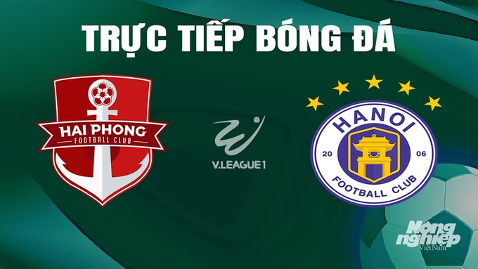 Trực tiếp bóng đá V-League 2023/24 giữa Hải Phòng vs Hà Nội hôm nay 25/6/2024