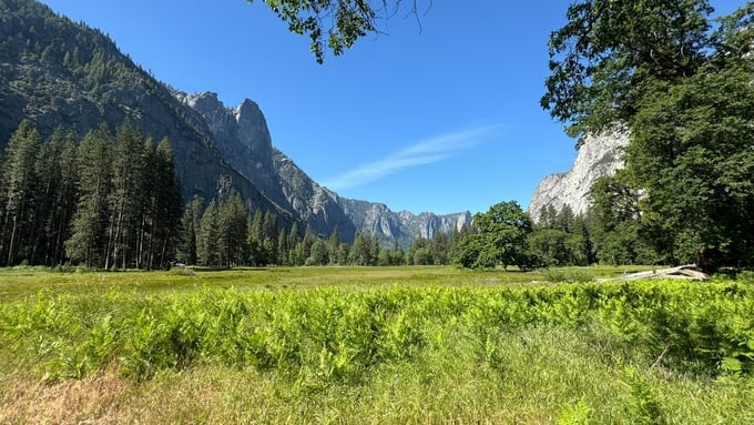 Yosemite National Park, a valley with vast grasslands.