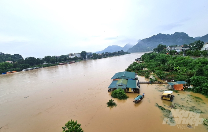 Nước sông Lô dâng cao khiến 12 lồng cá của người dân ở Tuyên Quang bị nước cuốn trôi. Ảnh: Đào Thanh.