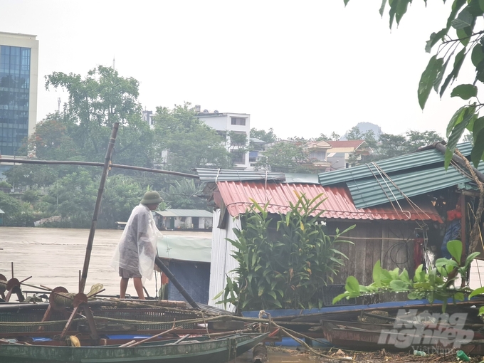 Người nuôi cá lồng trên sông Lô ở Tuyên Quang gia cố hệ thống lồng bè, nhà nổi, hạn chế thấp nhất thiệt hại khi nước sông dâng cao. Ảnh: Đào Thanh.