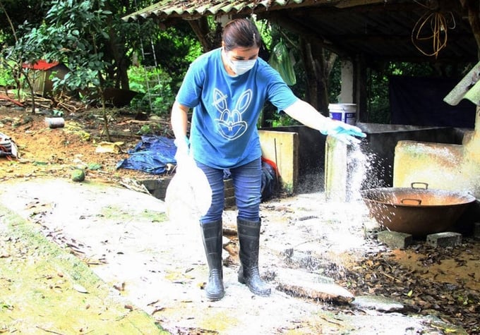 Residents sprinkle lime powder to disinfect their farm areas. Photo: PH.