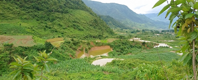 Tháng 6, mùa mưa tới giúp núi đồi, đất đai như bừng tỉnh sau 7 tháng ngủ yên. Ảnh: Hồng Nhung.