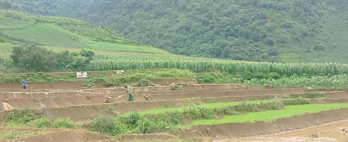 Bà con nông dân ở Tà Mung cho biết vụ mùa năm nay việc triển khai gieo cấy lúa thuận lợi do nguồn nước dồi dào. Ảnh: Hồng Nhung.