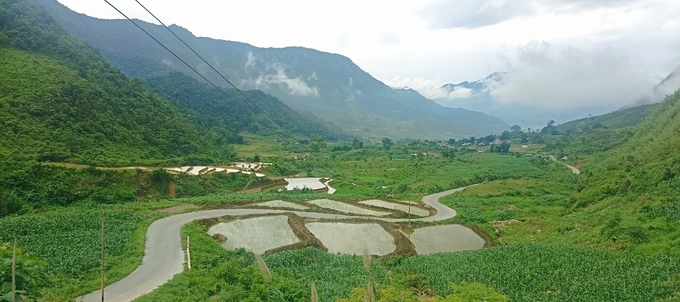 Vụ mùa là vụ sản xuất lương thực chính trong năm của bà con vùng cao Tà Mung do thời tiết thuận lợi, mưa nhiều. Ảnh: Hồng Nhung.