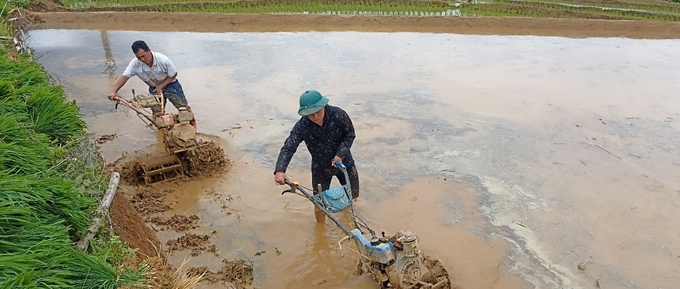 Do đặc thù miền núi nên người dân coi mỗi thửa ruộng thực sự là 'tấc đất, tấc vàng'. Ảnh: Hồng Nhung.