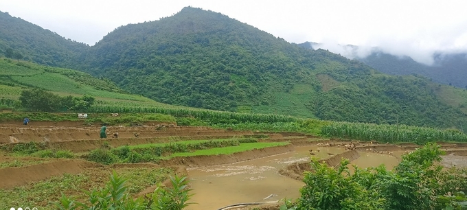 Vụ mùa năm nay, nông dân Tà Mung rất tin tưởng sẽ thắng lợi do đầu vụ thời tiết thuận lợi, mưa sớm, nước dồi dào. Ảnh: Hồng Nhung.