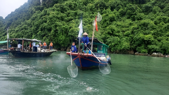 Việc giữ môi trường vịnh Hạ Long xanh, sạch, đẹp là yếu tố hàng đầu để thu hút khách du lịch.