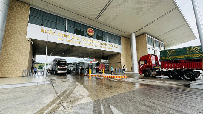 Agricultural product exports to China through the Lao Cai border gate have remained stable in the first six months of 2024. Photo: H.D.