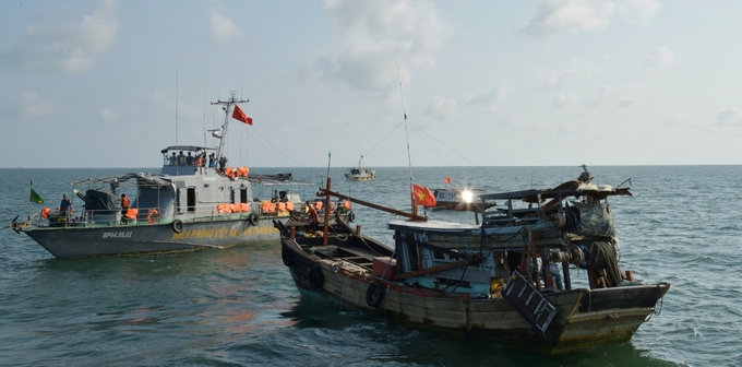 To solve the problems and remove the 'yellow card' of IUU, coordination between forces is needed. Photo: Thanh Cuong.