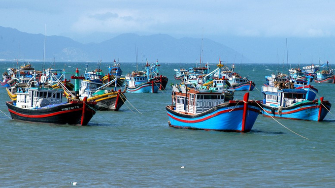 Vietnam is determined to remove the IUU 'Yellow Card' warning in 2024.