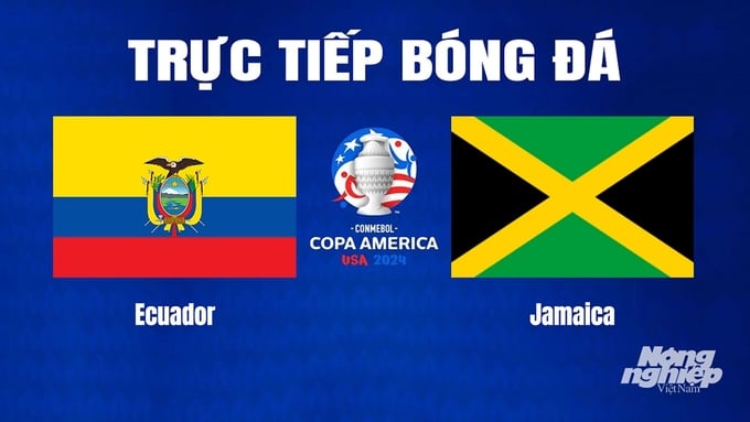Trực tiếp bóng đá Copa America giữa Ecuador vs Jamaica hôm nay 27/6/2024