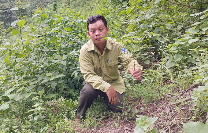 Là người trong cuộc, anh Lữ Ngọc Quảng thừa hiểu công tác trồng rừng thay thế không hề giản đơn. Ảnh: Việt Khánh.