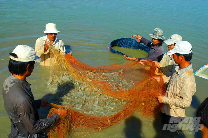 Giải pháp giảm chi phí trong nuôi tôm, được Công ty SANDO đúc kết trong 20 năm qua và đã triển khai thành công nhiều farm nuôi, bằng một số sản phẩm như: BACDOCI, SAN ANTI SHOCK, CALCIPHORUS, DOSAL, SAPOL... Ảnh: Gia Phú.