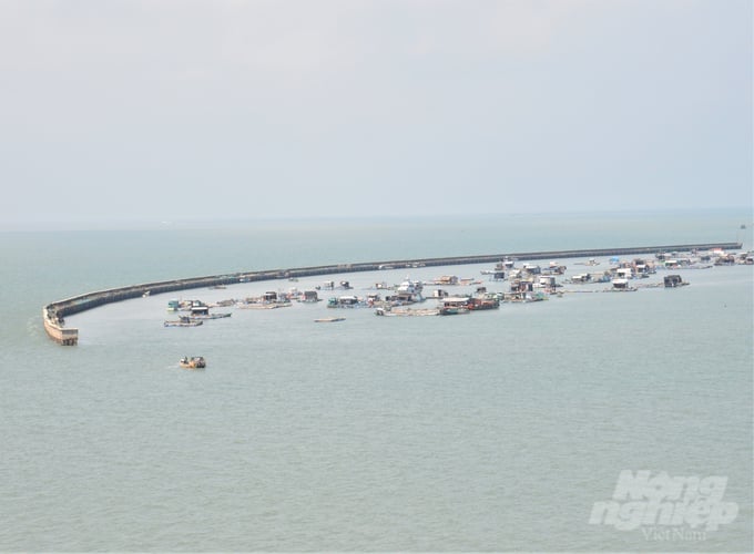 Kien Giang province has approved the project for sustainable mariculture development until 2030 in order to utilize the advantages of its expansive marine areas. Photo: Trung Chanh.