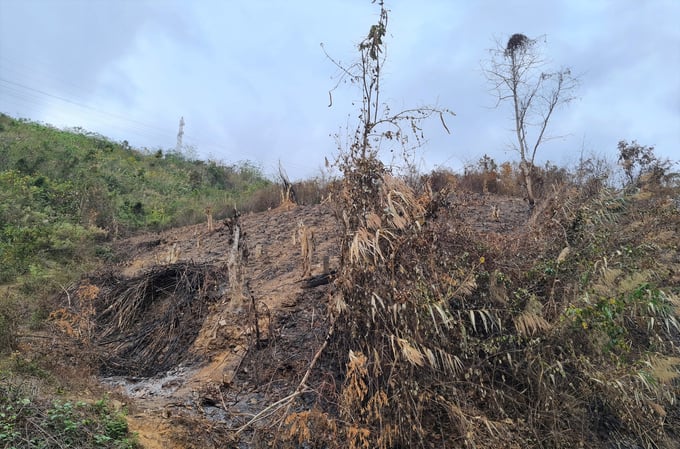 Đốt nương làm rẫy là một trong những nguyên nhân tăng cao nguy cơ cháy rừng tại huyện Kỳ Sơn. Ảnh: Việt Khánh. 