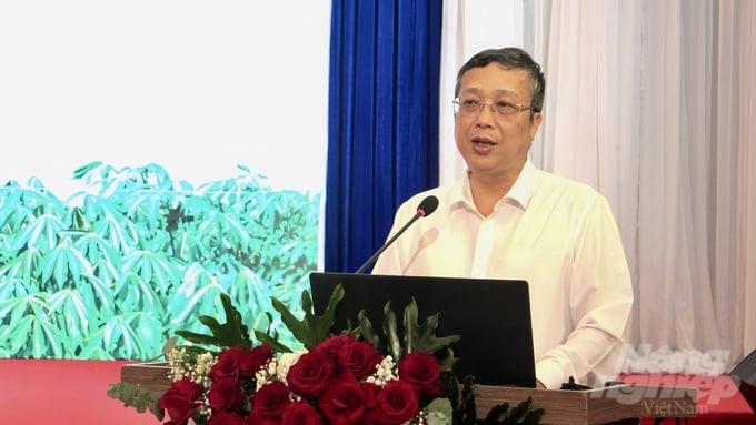 Deputy Minister of Agriculture and Rural Development Hoang Trung: Promote the cassava industry to develop stably, effectively, and sustainably; build a close linkage between production, processing, and consumption of products to create high economic value. Photo: Tran Trung.