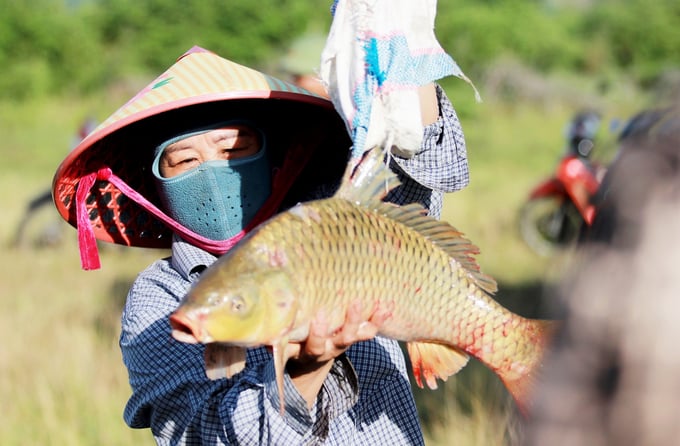 Chung phấn khởi, bà Nguyễn Thị Ngân, trú tại xã Xuân Viên khoe đã bắt được con cá chép nặng 3,6 kg. Bà tin, những người bắt được cá ngày hôm nay sẽ gặp nhiều may mắn trong cuộc sống và công việc.