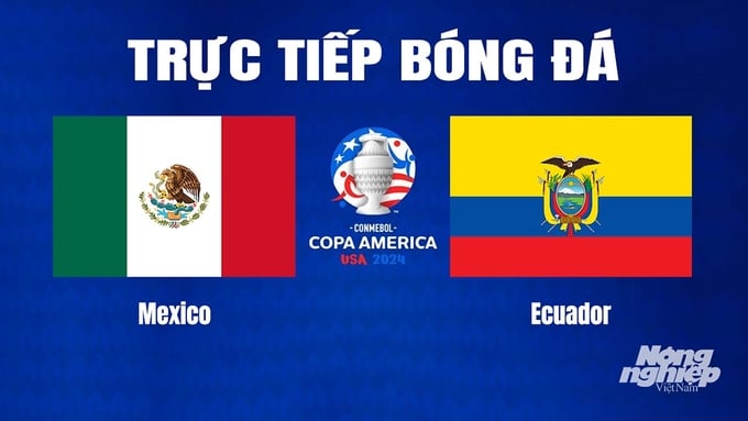 Trực tiếp bóng đá Copa America giữa Mexico vs Ecuador hôm nay 1/7/2024
