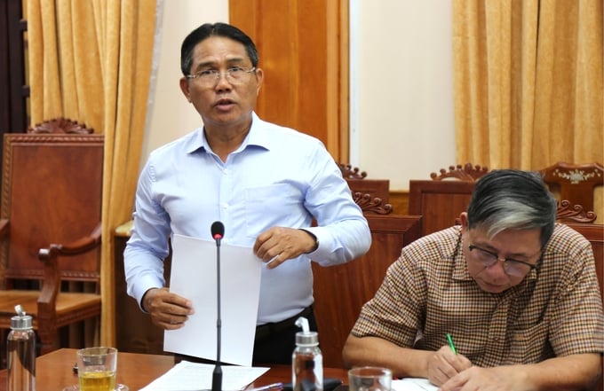 Ông Lê Minh Thiện, Chủ tịch FPA Bình Định, phát biểu tại buổi làm việc với UBND tỉnh Bình Định. Ảnh: V.Đ.T.