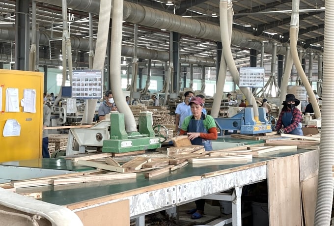 Các doanh nghiệp ngành gỗ ở Bình Định đang chuẩn bị dự trữ nguyên liệu đẩy mạnh sản xuất trong những tháng cuối năm. Ảnh: V.Đ.T.