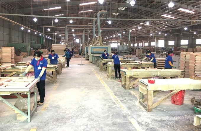 Các doanh nghiệp ngành gỗ ở Bình Định mong muốn Chi ngánh NHNN tỉnh Bình Định tác động các ngân hàng thương mại, giúp các doanh nghiệp ngành gỗ tiếp cận được vốn vay phục vụ sản xuất kinh doanh. Ảnh: V.Đ.T.