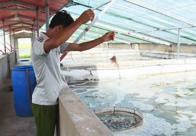 Anh Trần Văn Minh, hộ nuôi tôm tại thôn Xuân Hòa, thị trấn Lộc Hà (huyện Lộc Hà) đầu tư hệ thống mái che để bảo vệ tôm nuôi trước thời tiết bất lợi. Ảnh: Nguyễn Hoàn.