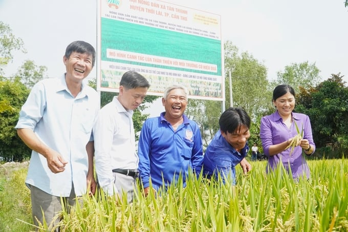 Tổ viên THT 2 lúa - 1 màu phấn khởi trước sự đổi thay của đồng ruộng từ khi triển khai mô hình trồng lúa thân thiện với môi trường. Ảnh: Kim Anh.