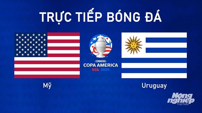 Trực tiếp bóng đá Copa America giữa Mỹ vs Uruguay hôm nay 2/7/2024