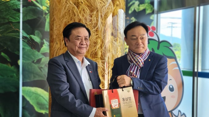 Bộ trưởng Lê Minh Hoan tham quan HTX trồng, chế biến sâm và phát triển thương hiệu sâm quốc gia Hàn Quốc. Ảnh: ICD.