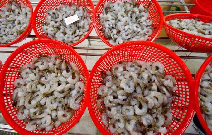 Ca Mau province's seafood exports reached over 1 billion USD for 3 consecutive years. Photo: Trong Linh.