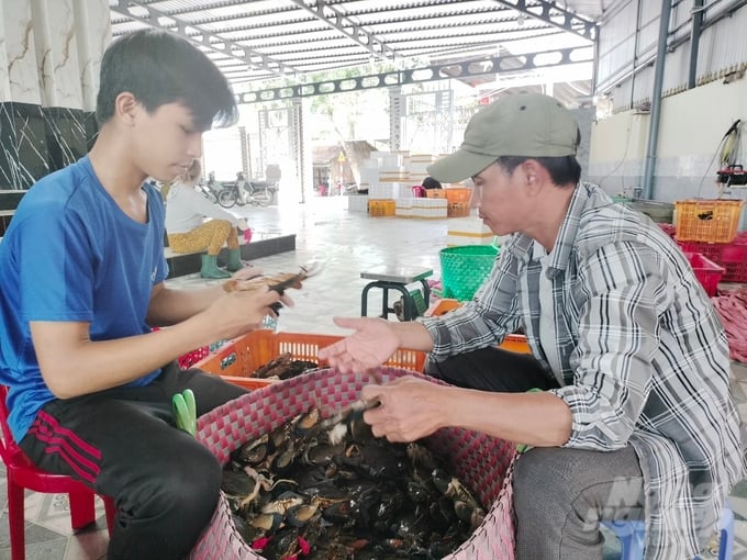 Mr. Tung's crab warehouse is still operating normally. Photo: Trong Linh.