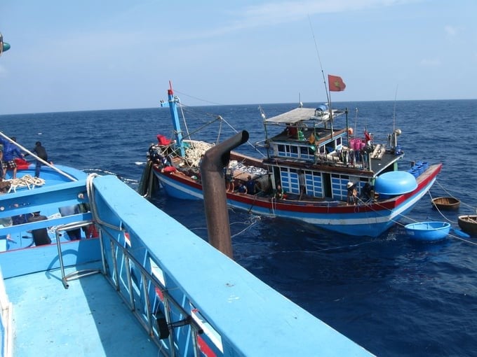 Binh Dinh strictly handles fishing vessels that violate IUU fishing. Photo: Vu Dinh Thung.