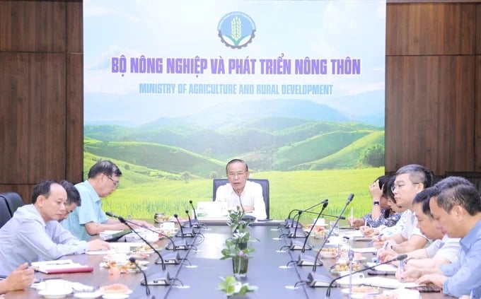 Deputy Minister Phung Duc Tien chaired the conference. Photo: Trung Quan.