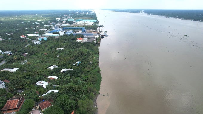 Tien Giang's sand reserves are estimated at over 40 million cubic meters. Photo: Minh Dam.