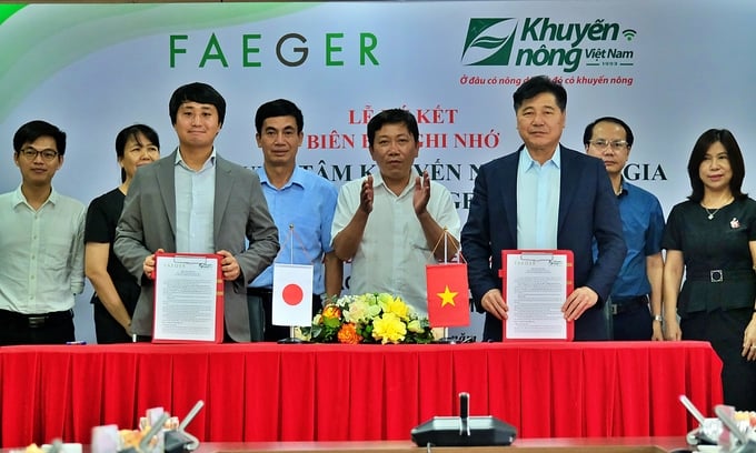 The National Agricultural Extension Center and Faeger Co., Ltd. signed a memorandum of cooperation. Photo: Bao Thang.